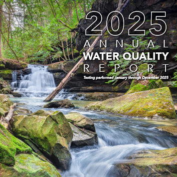 2025 Report
